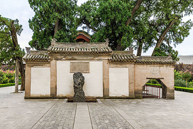 业余 自由 青少年 青少年 青少年 类别：极限竞速地平线5全新评测，探索墨西哥开放世界的驾驶盛宴-2