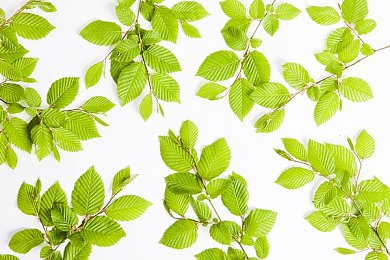 禁看视频黄：警惕视觉陷阱，优化竞速画面提升驾驶安全-1