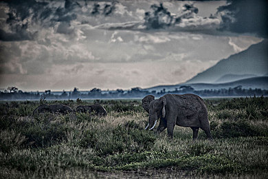 99reav6：极限重生第六纪元，赛博竞速新纪元，九十九次进化重塑驾驶艺术-3