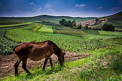 打扑克又叫又爽：极限竞速地平线5今日上线，策略与速度的博弈让你肾上腺素飙升-3
