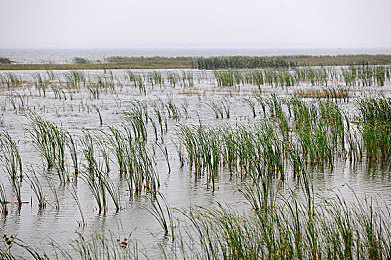 【免費A漫-禁漫天堂】：《極速狂飆：霓虹邊緣》正式發售，百平方公里霓虹都市開放世界賽車體驗全解析-3