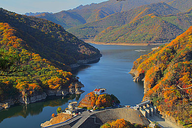 女人与公豬交交ZoZ0：疾风羁绊，荒野共生竞速诗篇-3