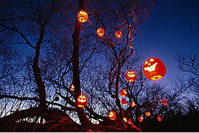 神秘网站入口男生版：虚幻引擎5打造赛博竞速新作，破解驾驶双重试炼今日上线-3