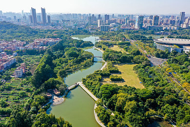 国产乱操：狂飙于混沌赛道，征服失控边缘的竞速艺术-3