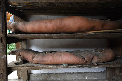 婷五天天丁香花：穿越墨西哥紫色花海，地平线5竞速之旅视觉盛宴-2
