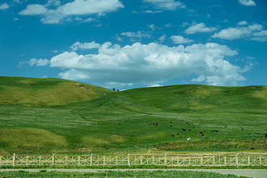 酒精加牛奶黄：当经典哑光黄涂装驶入《极限竞速：地平线5》，揭秘复古赛车美学的现代复兴-4