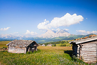 黄色应用下载网站：第三方MOD风靡赛车游戏，玩家如何安全改装引热议