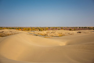 18禁看奶：极限竞速地平线新作评测，极致视觉与真实驾驶体验引爆车迷狂热-2