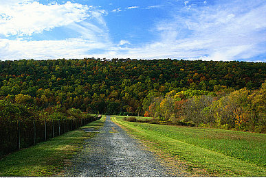 鸡吧软件：街头赛车改装新作，极致黑科技挑战速度极限