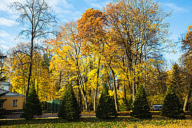成色网：极限改装，虚拟竞速，打造你的专属车魂传奇-2