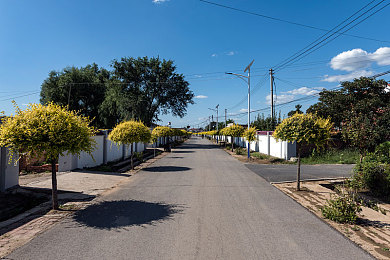 含羞草2025隐藏入口:探秘未来竞速,赛博都市的隐藏通道等待触发-2