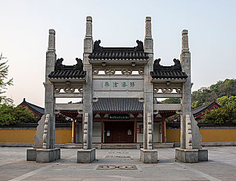 挠尿孔痒崩溃：膀胱警报，末世方向盘的终极生存博弈-2