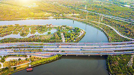 下载黄色网络：霓虹防火墙，极速数据劫掠者