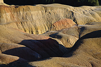 未满十八岁不能下载的软件：《狂飙：地下车神》正式发售，硬核成人竞速引发热议，深度评测揭秘极限体验-3