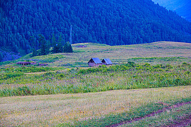 中国的自由性别18：成年后的第一把方向盘，极限竞速地平线开放世界驾驶攻略全解析-3