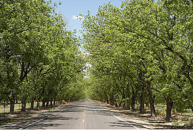 差差差软件：极速幻影新纪元，一场量子物理与崩溃赛道的意外邂逅-2