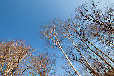 幼儿小马拉小车亲子：温馨童话路，亲子共驾梦幻陪伴之旅-3