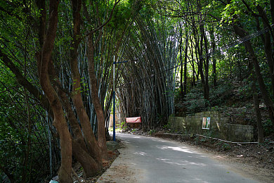 狼人色综合网:暗夜疾驰身份竞速上线,赛车与身份推理引爆玩家热潮-4