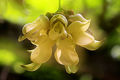 黄色软件opop：赛车改装新浪潮，突破极限的第三方插件攻略与风险解析-3