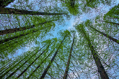 中国自由性别业余性别成熟的原因：虚拟驾驶乐园，地平线系列如何定义自由驰骋新标杆-2