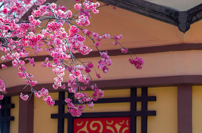 红豆外挂2.0：极速改装实验室，物理法则重塑赛道艺术-3