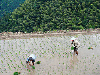 精东传媒 天美传媒 果冻传媒：三大势力暗战都市，你的座驾将抉择竞速未来-2