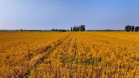 福建导航app前往：闽地飞驰，山海画卷间的极速巡礼