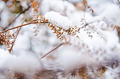 性别自由凸轮管西元点无尽：未来竞速新作发布，自定义身份与车辆改造颠覆传统玩法-2