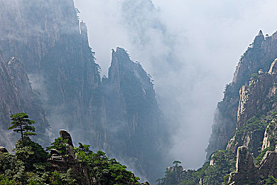 男人视频网站：虚拟汽车媒体新纪元，地平线5进阶创作全攻略-2