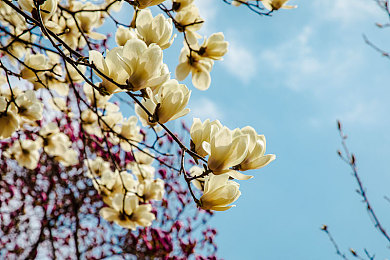 男生女生插插的软件：极速改装，自由组合，你的专属战车由你定义-3