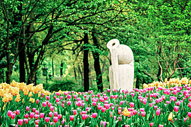 男男资源：双人驾驶竞速新作深度测评，极致协作如何颠覆赛道体验