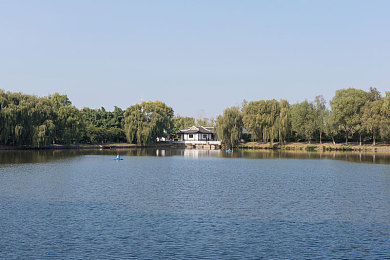 年轻人黄应用：地平线5全新赛季开启，打造你的专属赛车涂装