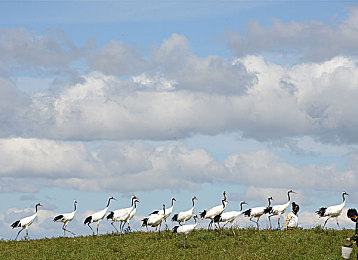 2024黄色软件APP：极速幻影霓虹狂飙，沉浸未来都市赛道革新体验-2