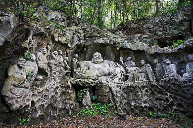 两年半色板网站：极速美学，色彩征程的漫长诗篇-3