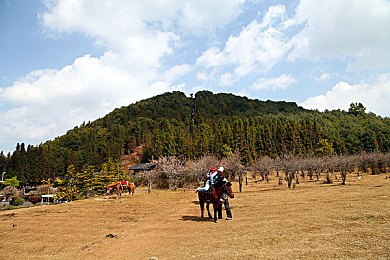 三个老外换着躁我一个故事：全球竞速对决，墨西哥赛道激战多国高手-2