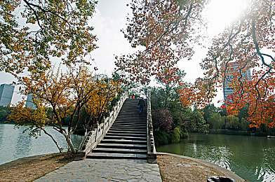 黄色app大全2023:极速狂飙,沉浸驾驶,年度热门赛车游戏深度解析-2