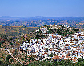 黄色应用：极速黄潮深度解析，赛道策略与视觉激情的完美融合-3