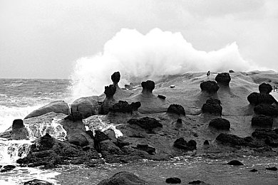 黄色软件在线观看：暖金飞驰，墨西哥暮光赛道艺术之旅-2