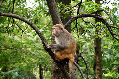 a√天堂资源：极致调校自由，专业赛车游戏化身虚拟工程天堂，今日深度解析改装艺术-2