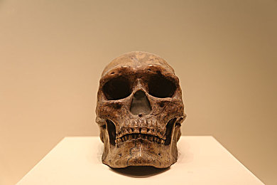 双人在床上打扑克就去运动：牌桌决胜风云变幻，赛道狂飙极速争锋-3