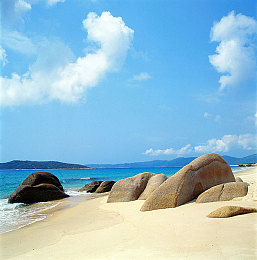 机机对机免费下载大全：极速狂飙，免费竞速游戏精选与攻略全览-2