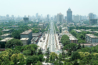 男生和女生一起差差很痛轮滑网：极速协奏，弯道与直道的默契共舞