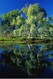 18岁以下禁用的软件：极速都市，成年车手的夜与罚-2