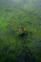 情侣做剧烈运动软件：双人竞速新作极速共鸣，用默契点燃赛道浪漫之旅-3