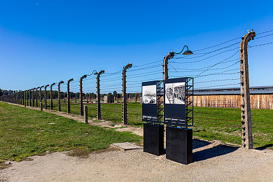 麻花传媒春节回家相亲孟孟：方向盘上的春节，副驾驶的爱情与自由-3