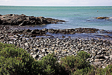 東京热软件：霓虹夜幕下的街头竞速，改装与对决点燃东京湾岸-2