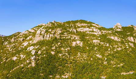 AI造梦星:在霓虹雨幕中与未来共舞的无限旅程-2