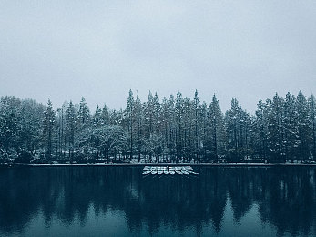 口述3p做爰全过程：三车共舞墨西哥，地平线五团队竞速艺术全解析-3