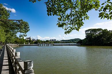 黄色软件下载oppp3.03：都市闪电，极速狂飙的终极竞速艺术-2