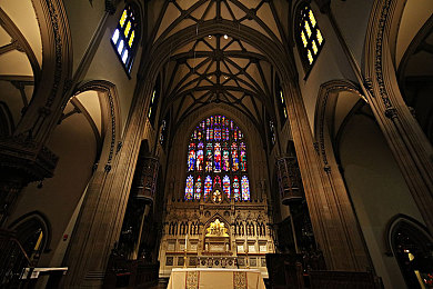 黄色app下载vivo：极限竞速地平线5正式上线，驾驭黄色超跑征服墨西哥-3